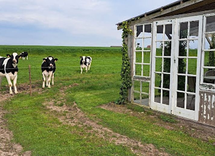 Rustikales Cottage in Haringe, attraktives Ferienhaus mit authentischen Details in Westflandern.