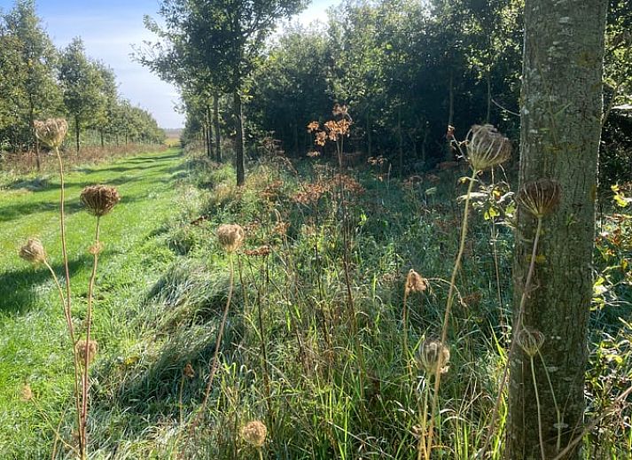 Guest house 0111102 - Holiday property West Flanders - Huisje in Zandvoorde