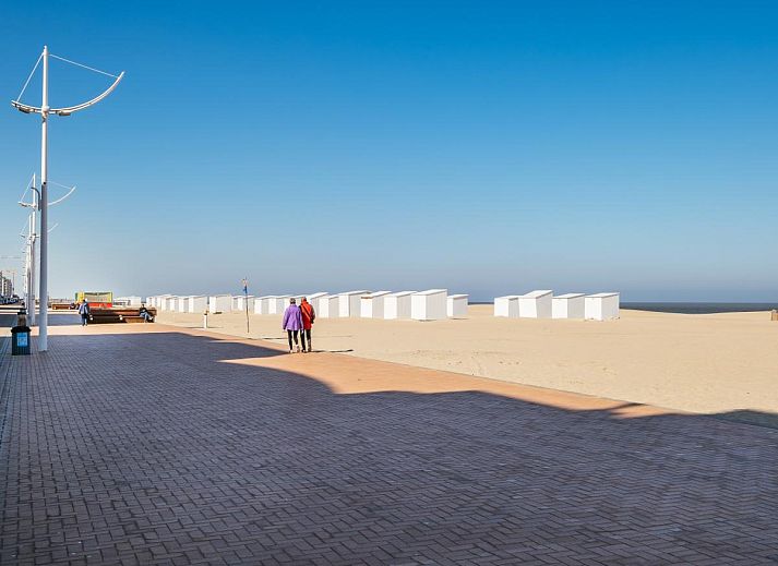 Moderne keuken in vakantiehuis Zeezicht GV, Koksijde, West-Vlaanderen. Stijlvolle inrichting met roestvrijstalen apparatuur en heldere accenten.