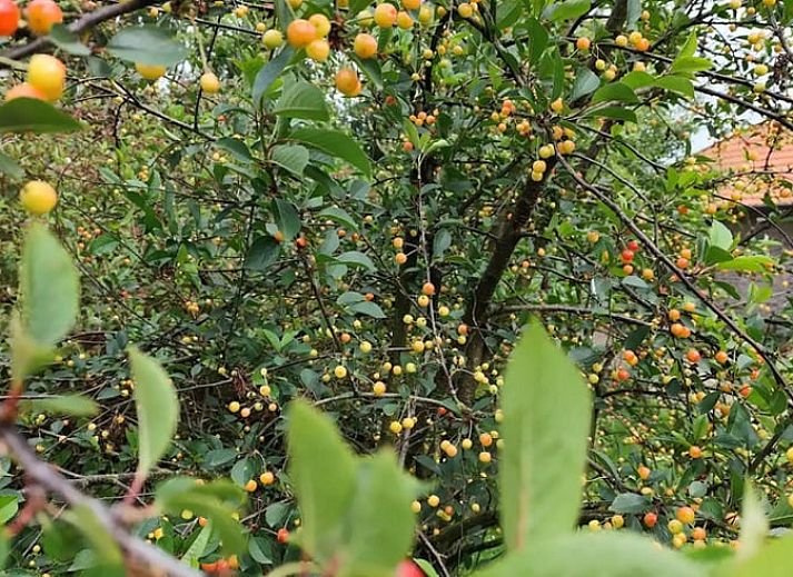 Attractive bedroom in Holiday Home in Zarren with colorful interior in West Flanders, Belgium.