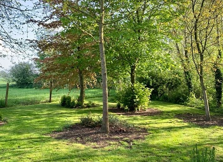 Cozy kitchen in Cottage in Alveringem, cottage in West Flanders, Belgium with rustic brick walls and modern amenities.
