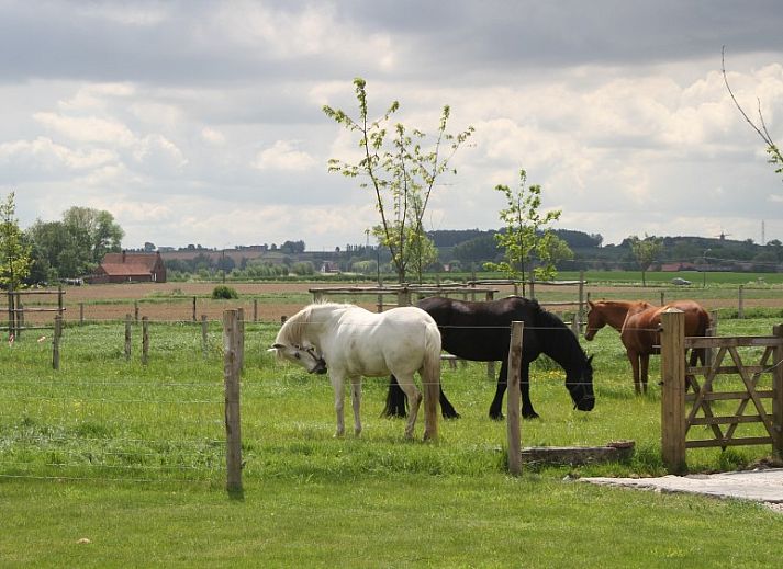 Verblijf 0114805 - Vakantiewoning West-Vlaanderen - PassaDia