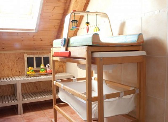 Guest house 011509 - Holiday property West Flanders - hof ten thorre