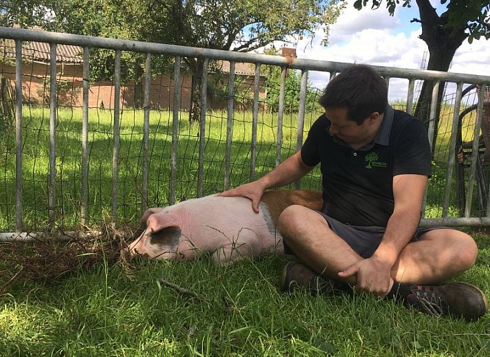 Guest house 011509 - Holiday property West Flanders - hof ten thorre