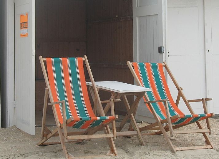 Guest house 0115601 - Holiday property Belgian Coast - Duinendaele aan zee