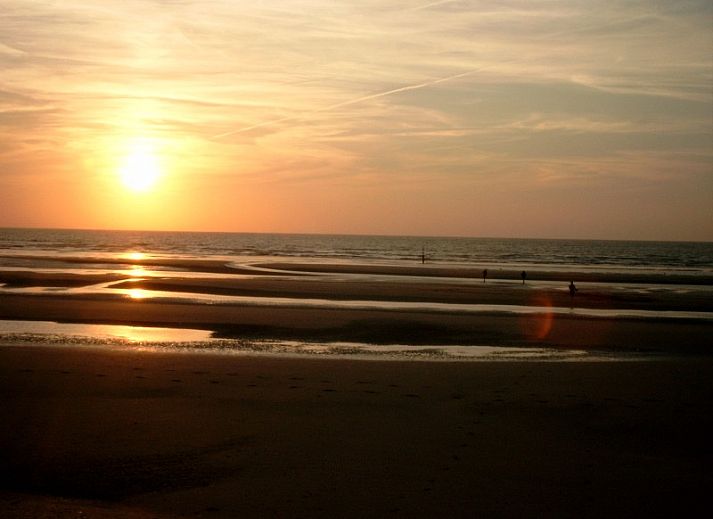 Guest house 0115601 - Holiday property Belgian Coast - Duinendaele aan zee