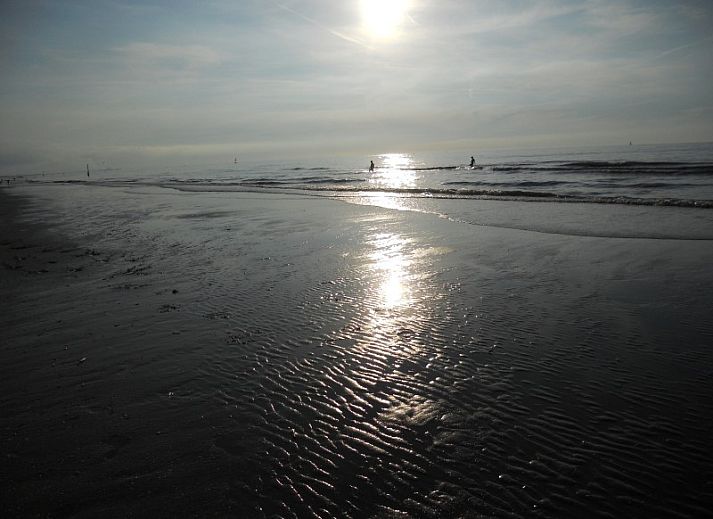 Guest house 0115601 - Holiday property Belgian Coast - Duinendaele aan zee