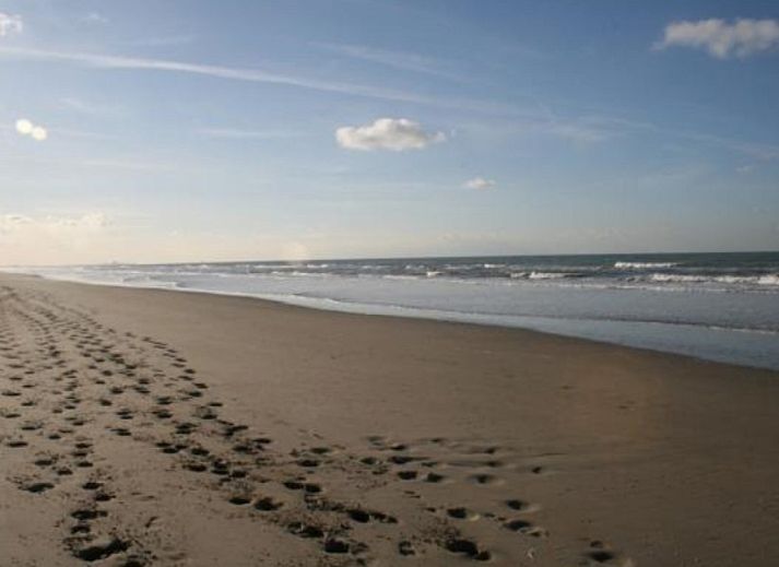 Verblijf 0115604 - Vakantiewoning Belgische kust - Duinendaele 213
