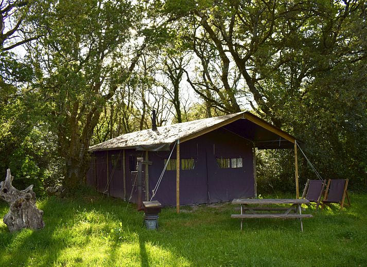 Geniessen Sie den Luxus im Zeltcottage mit heisser Privatdusche in Poperinge, Westflandern. Entspannter Moment im gemuetlichen Badezimmer.