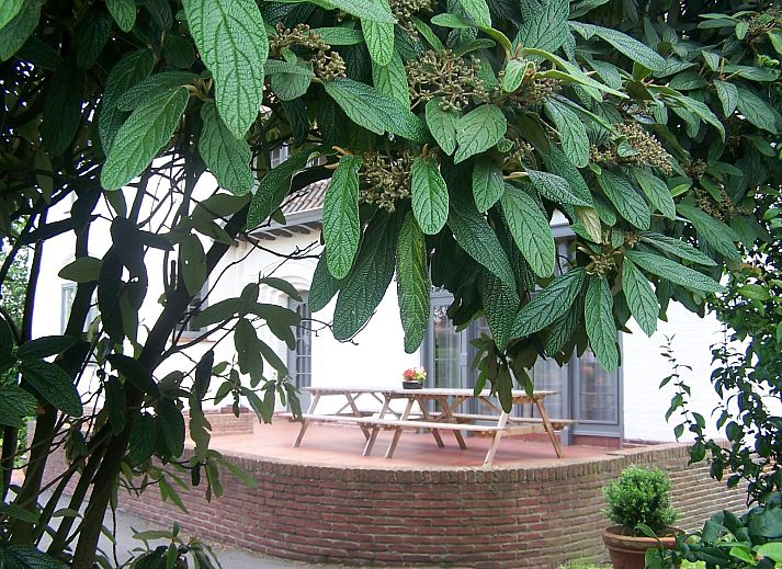 Unterkunft 011614 - Ferienhaus Westflandern - Hommelhove