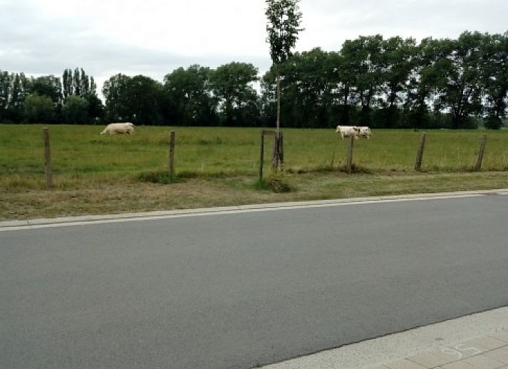 Ten Huize Spientje Ferienhaus in Lapscheure, Westflandern, mit charmanter Backsteinfassade.