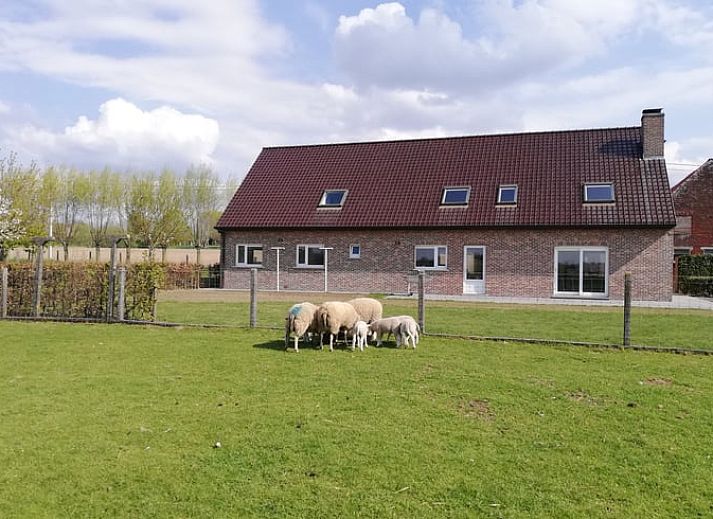 Vakantiehuis in Ingooigem, West-Vlaanderen met groene tuin en bomen, ideaal voor een ontspannen verblijf in Belgie.