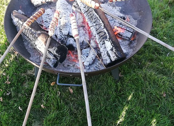 Gezellig vakantiehuis in Ingooigem, Anzegem met schapen in de tuin, perfect voor natuurliefhebbers in West-Vlaanderen, Belgie.
