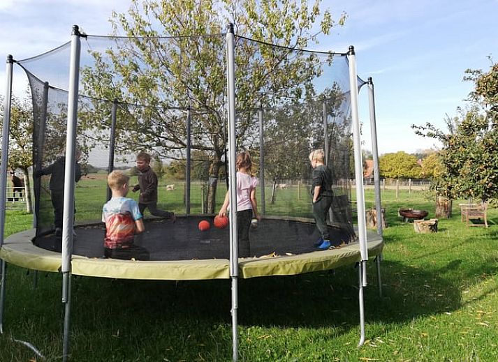 Gezellig vakantiehuis in Ingooigem, Anzegem met schapen in de tuin, perfect voor natuurliefhebbers in West-Vlaanderen, Belgie.