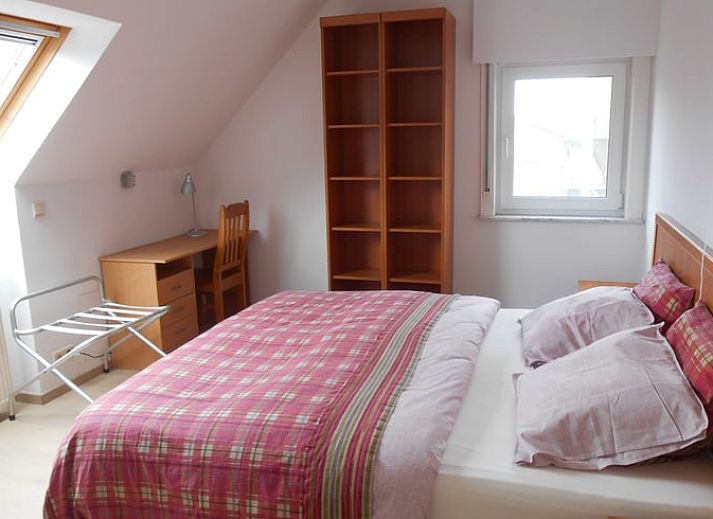 Rustige patio van vakantiehuis in Ingooigem, omgeven door groene heggen en planten, ideaal voor ontspanning in West-Vlaanderen.