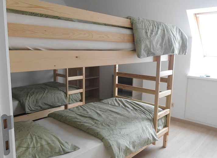 Rustige patio van vakantiehuis in Ingooigem, omgeven door groene heggen en planten, ideaal voor ontspanning in West-Vlaanderen.