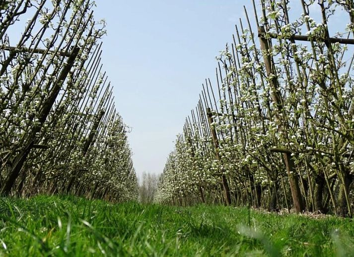 Stijlvolle slaapkamer met tweepersoonsbed in B&B De Zoete Kers, Belgie.