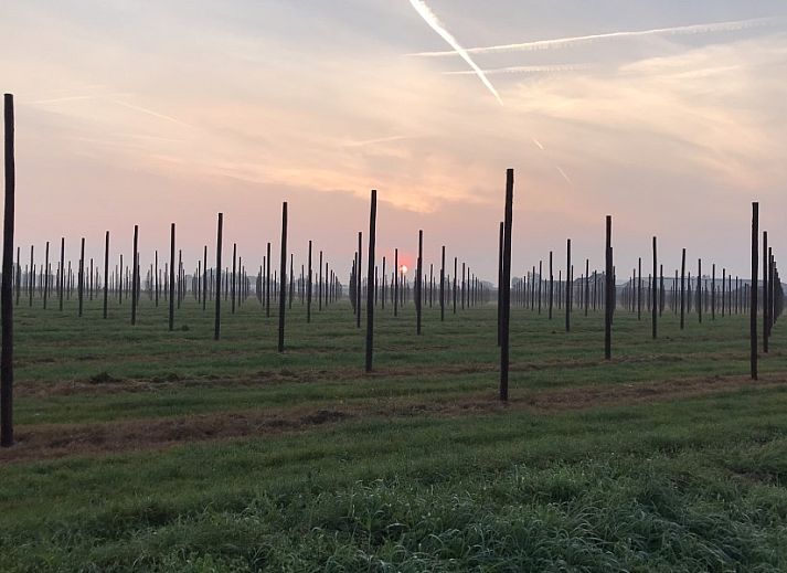 Stijlvolle slaapkamer met tweepersoonsbed in B&B De Zoete Kers, Belgie.