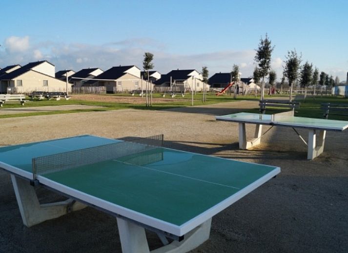 Moderne Kueche im Ferienhaus Lombardsijde, gelegen in Lombardsijde-Middelkerke, Westflandern, Belgien.