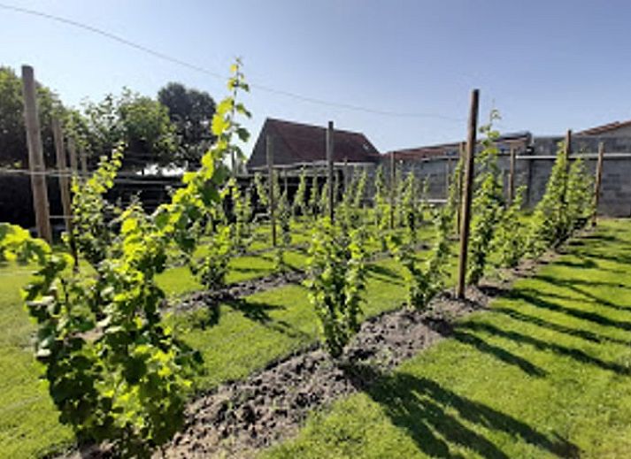 Vakantiehuis in Merkem, een charmante vakantiewoning in West-Vlaanderen met een authentieke gevel en rustige omgeving.