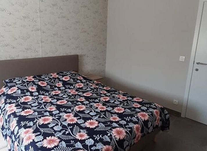 Groene tuin bij Vakantiehuis in Merkem, ideale vakantiewoning in West-Vlaanderen voor natuurliefhebbers.