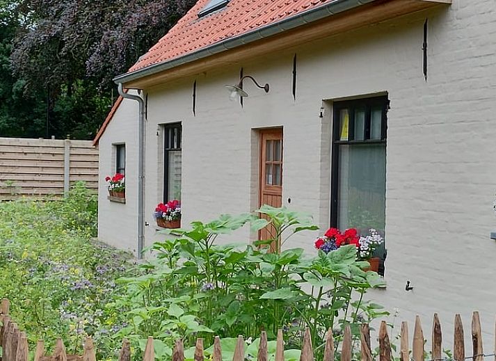 Guest house 013406 • Holiday property West Flanders • Vakantiehuisje in Merkem 