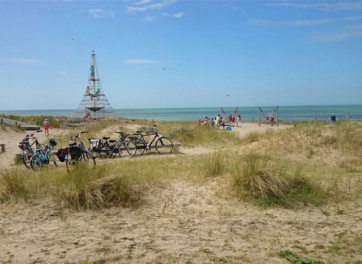 La Cabane Penthouse, vakantiehuis aan zee, Belgische kust, verscholen tussen weelderige duinen en groen.