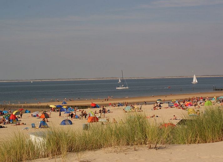 La Cabane Penthouse, vakantiehuis aan zee, Belgische kust, verscholen tussen weelderige duinen en groen.