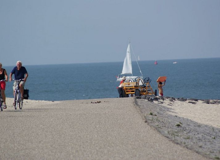 La Cabane Penthouse, vakantiehuis aan zee, Belgische kust, verscholen tussen weelderige duinen en groen.