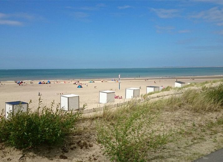 La Cabane Penthouse, vakantiehuis aan zee, Belgische kust, verscholen tussen weelderige duinen en groen.