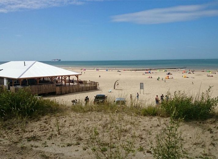 La Cabane Penthouse, vakantiehuis aan zee, Belgische kust, verscholen tussen weelderige duinen en groen.