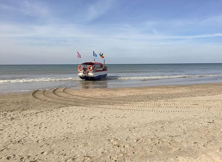 Unterkunft 013912 - Appartement Westflandern - 186075