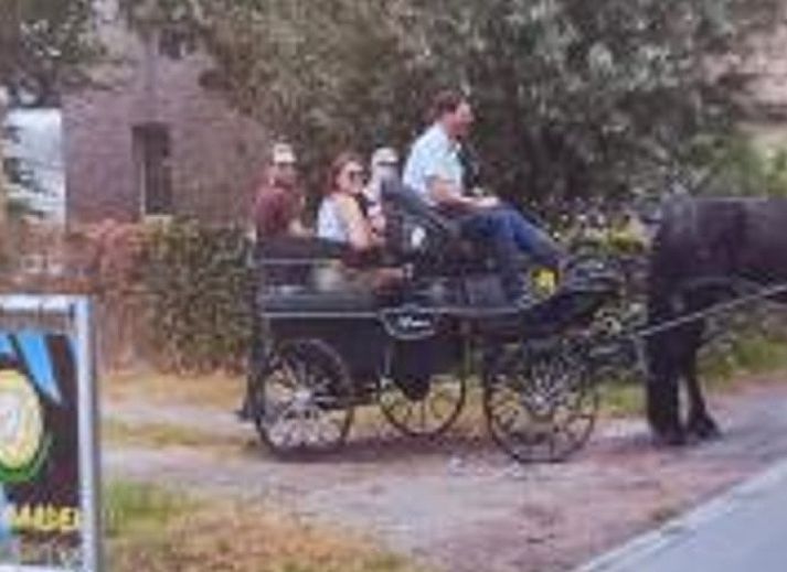 Guest house 014209 - Holiday property West Flanders - Vakantiehuis in Lichtervelde