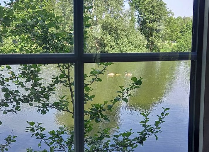 Guest house 014209 - Holiday property West Flanders - Vakantiehuis in Lichtervelde