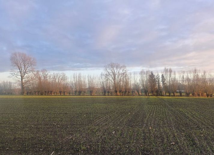 Gemuetlicher Innenraum des Ferienhauses in Ruiselede, einem Ferienhaus in Westflandern, Belgien, mit einer stimmungsvollen Kueche und Weihnachtsdekoration.