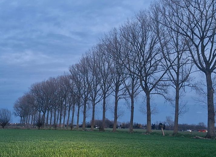 Gemuetliches Schlafzimmer im Ferienhaus in Ruiselede, Westflandern, mit Holzinterieur und komfortabler Einrichtung.