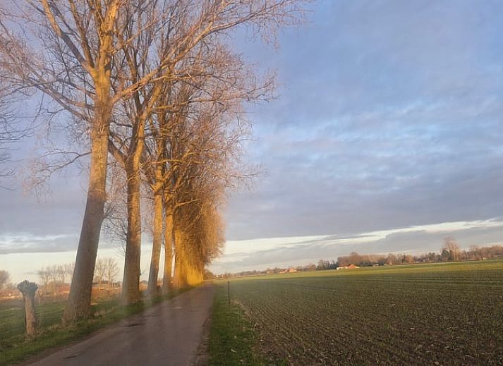 Gemuetliches Schlafzimmer im Ferienhaus in Ruiselede, Westflandern, mit Holzinterieur und komfortabler Einrichtung.