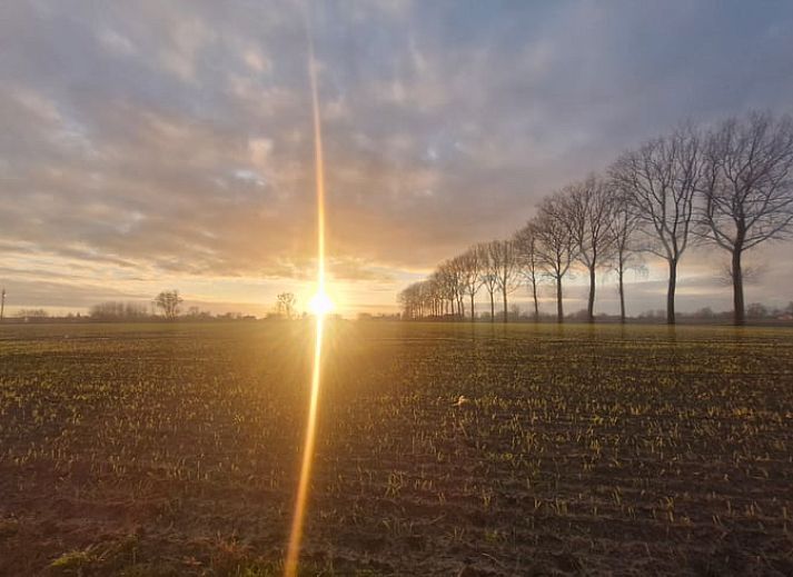 Gemuetliches Schlafzimmer im Ferienhaus in Ruiselede, Westflandern, mit Holzinterieur und komfortabler Einrichtung.