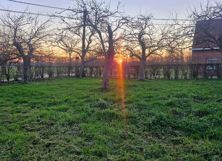 Unterkunft 016802 - Ferienhaus Westflandern - Huisje in Ruiselede
