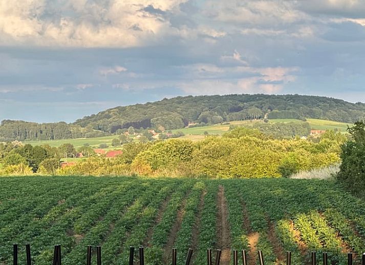 Knusse zithoek in Vakantiehuis in Loker, West-Vlaanderen, ideaal voor ontspanning met uitzicht op de tuin.