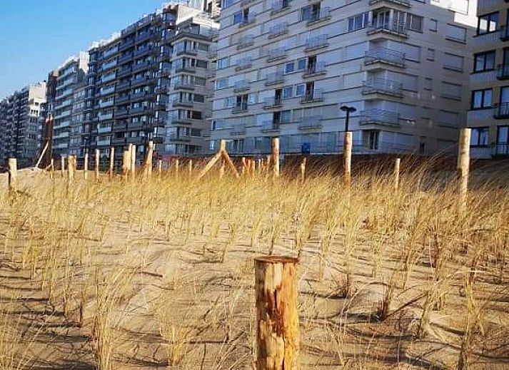 Gezellige keuken in Trianonvakanties appartement, Westende, West-Vlaanderen, Belgie, met moderne apparatuur en houten afwerking.