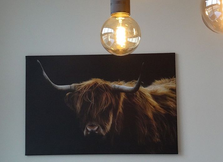 Helmgras vakantiehuis in Middelkerke met zonnig terras en moderne tuinmeubelen, ideaal voor ontspanning in West-Vlaanderen.