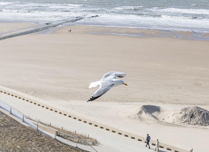 Stay Stella - 0701 in Middelkerke, Westflandern, bietet einen herrlichen Blick auf den Strand und das Meer, ideal fuer einen entspannten Urlaub.