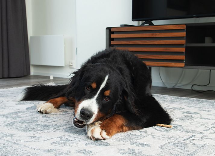 Stilvolles Wohnzimmer in Access Lodge, einem Ferienhaus in Westende, Westflandern, mit bequemer Sitzecke und Gartenblick.