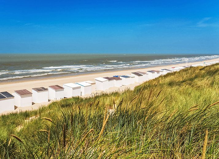 Blick vom Apartment Duplex in Bredene, Westflandern, mit Panoramablick auf die Kueste und die gruene Umgebung.