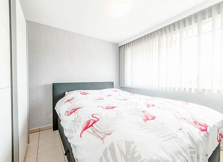 Unterkunft 019146 - Appartement Westflandern - Appartement Queen Mary