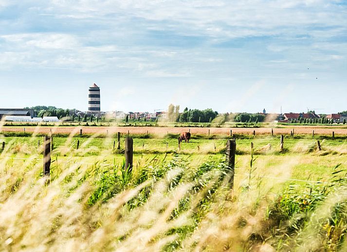 Unterkunft 019146 - Appartement Westflandern - Appartement Queen Mary