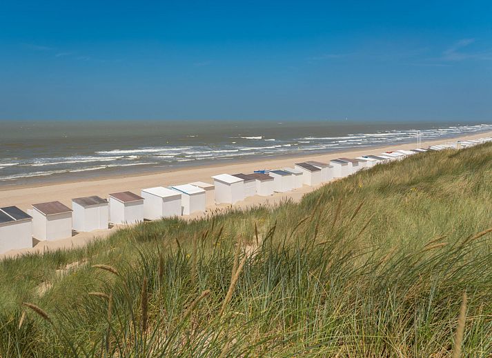 Moderne Kueche im Apartment Studio 604, Bredene, Westflandern, Belgien, mit stilvoller lila Wand und voll ausgestatteter Einrichtung.