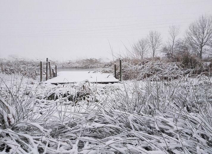 Rustic setting around Maracci vacation home Pervijze with pond and green fields.