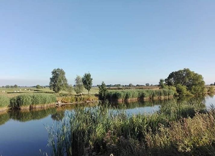 Rustic setting around Maracci vacation home Pervijze with pond and green fields.